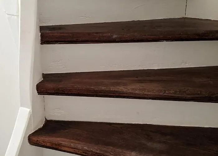 Ferienhaeuschen Mit Hof In